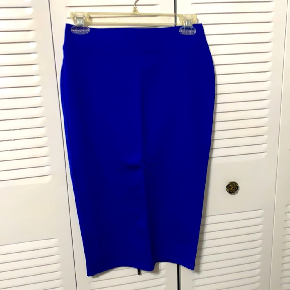 The Limited x Eva Longoria Skirt